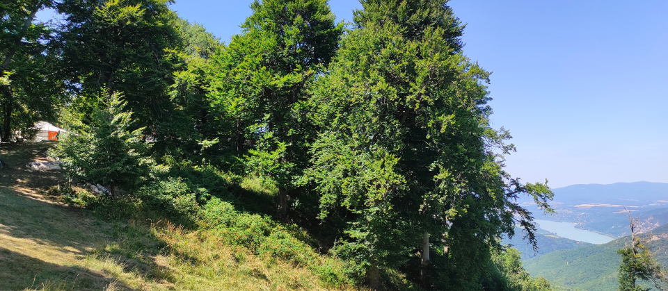 Dobogókői Jurtaszállások - Dobogókő