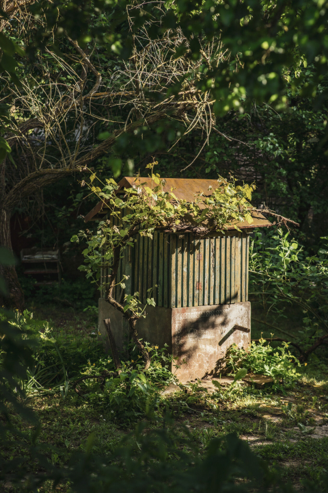 Művész Vendégház - Palkonya