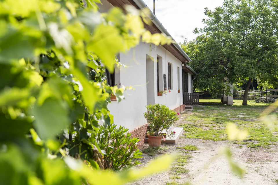 Patakparty Lak - Szilvásvárad