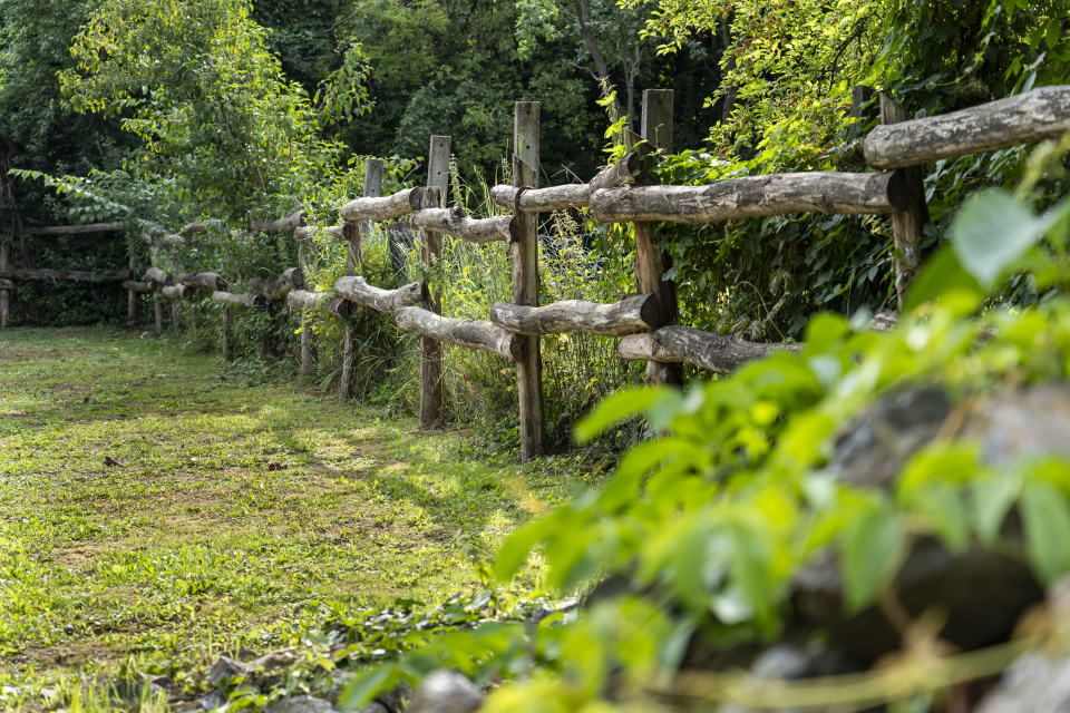 Patakparty Lak - Szilvásvárad